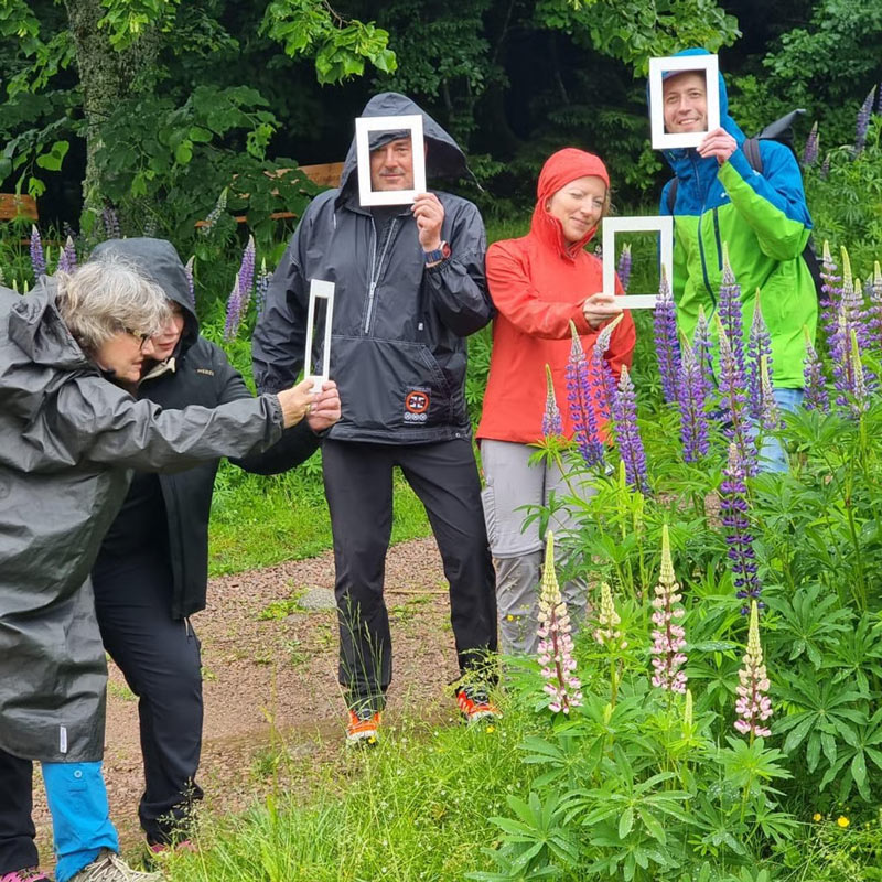 Coaching in der Natur – Natural Leading Inspiration aus der Natur