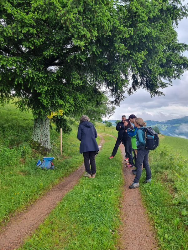 Coaching in der Natur – Natural Leading Lernen im Naturraum
